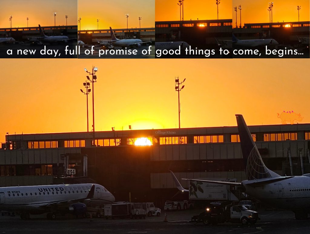 The Orange Rhino Sunrise