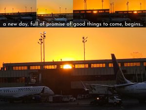 The Orange Rhino Sunrise